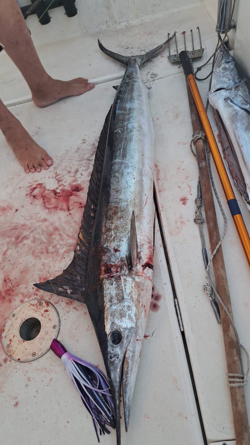 Customer photo review of Albacore Tube