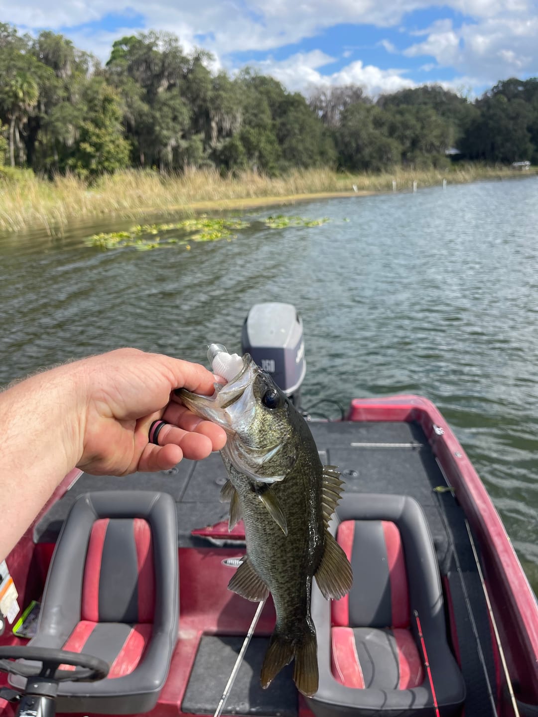 Customer photo review of 2023 Pulse Jig Team Bundle (Discount Auto Applied at Checkout)