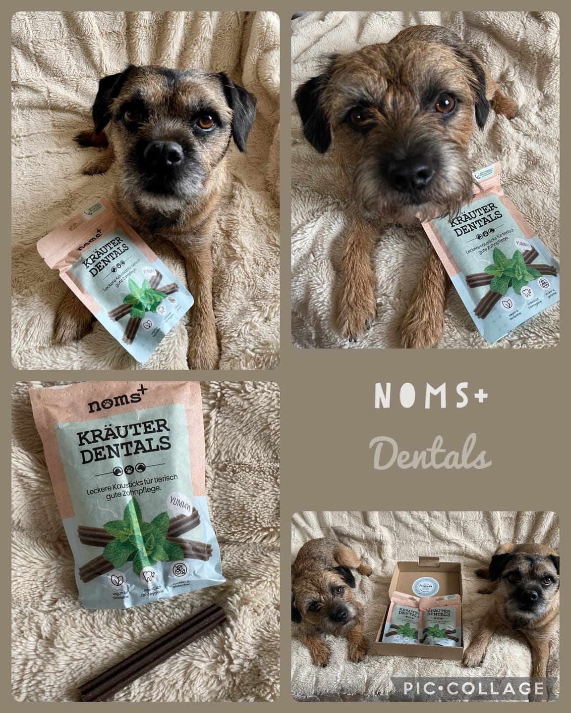 Customer photo review of Kräuter Dentals für Hunde zur Zahn- und Darmpflege (120g)