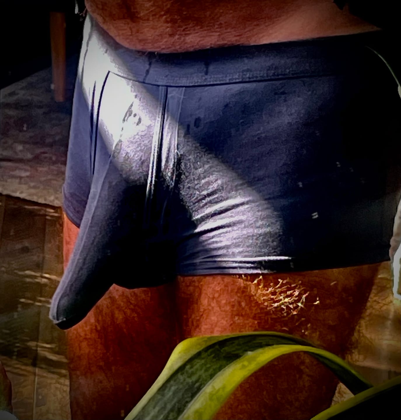 Customer photo review of Men's Dual Pouch Underwear Separate Pouch Modal Trunks