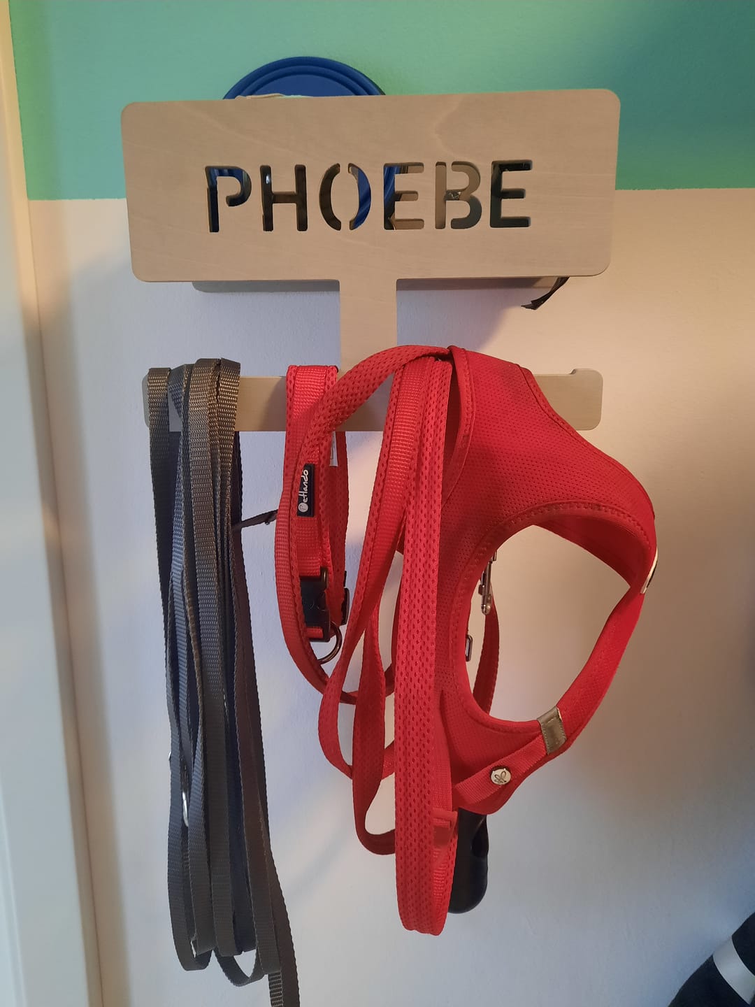 Customer photo review of PERSONALISIERUNG: Hundegarderobe L