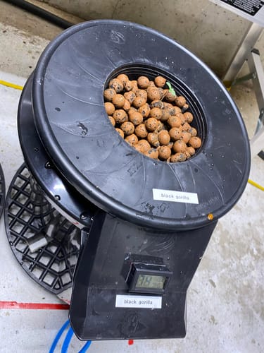 Customer photo review of Hydrobucket DWC 2 Plant Kit