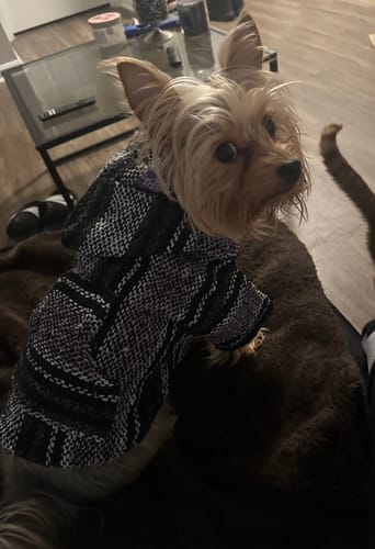 Customer photo review of Playa Poncho - Surprise Color