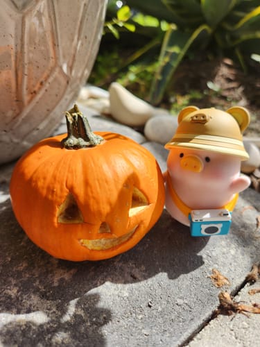 Customer photo review of Lulu the Piggy's Travel Series Blind Box