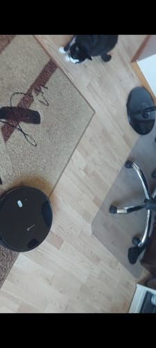 Customer photo review of Neatsvor X520 robotas dulkių siurblys