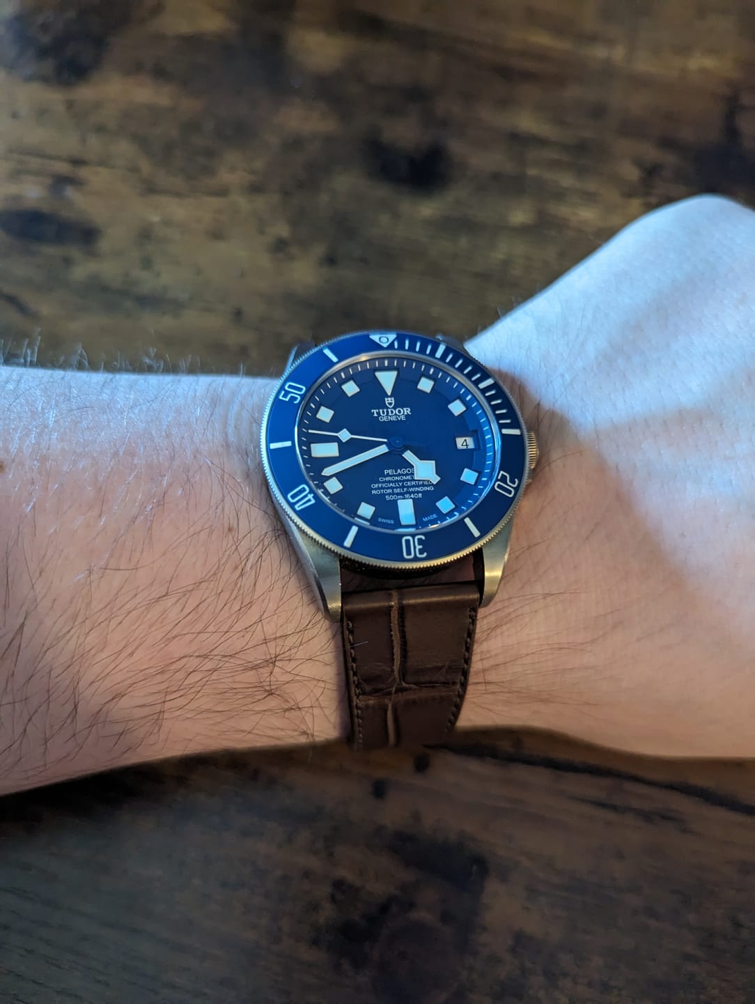 Customer photo review of Matte Bistre Brown Alligator