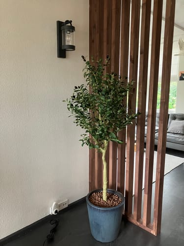 Customer photo review of Kunst Olijfboom 150cm