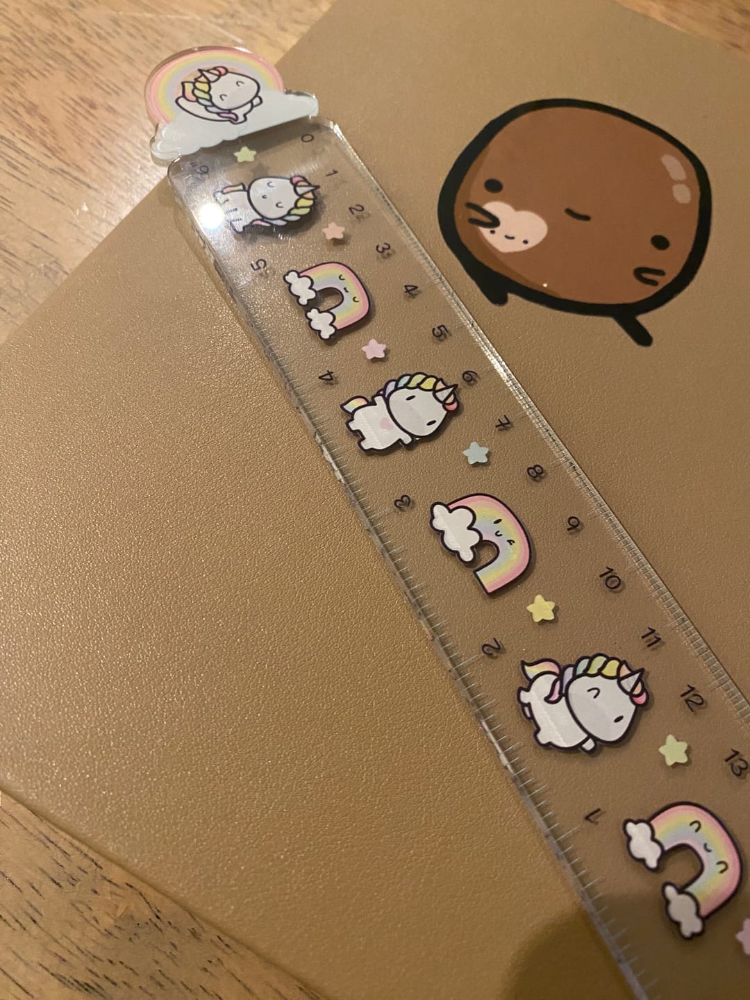 Customer photo review of Rainbow Unicorns Ruler