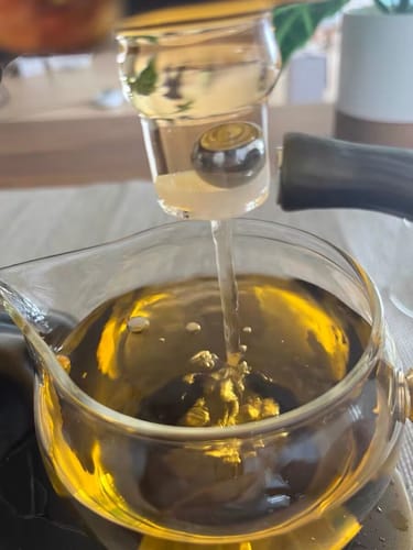 Customer photo review of Parrot | HZTEAPOTS®
