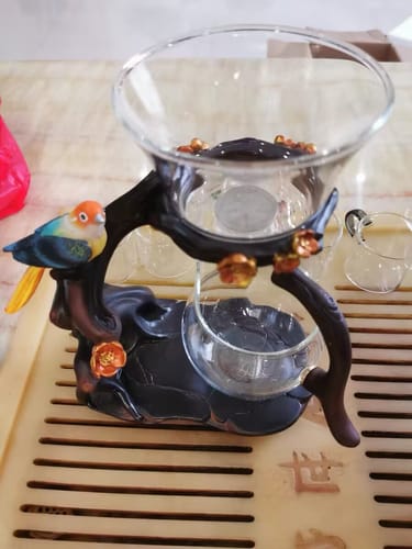 Customer photo review of Parrot | HZTEAPOTS®