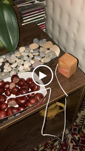 Customer video review of PlantWave