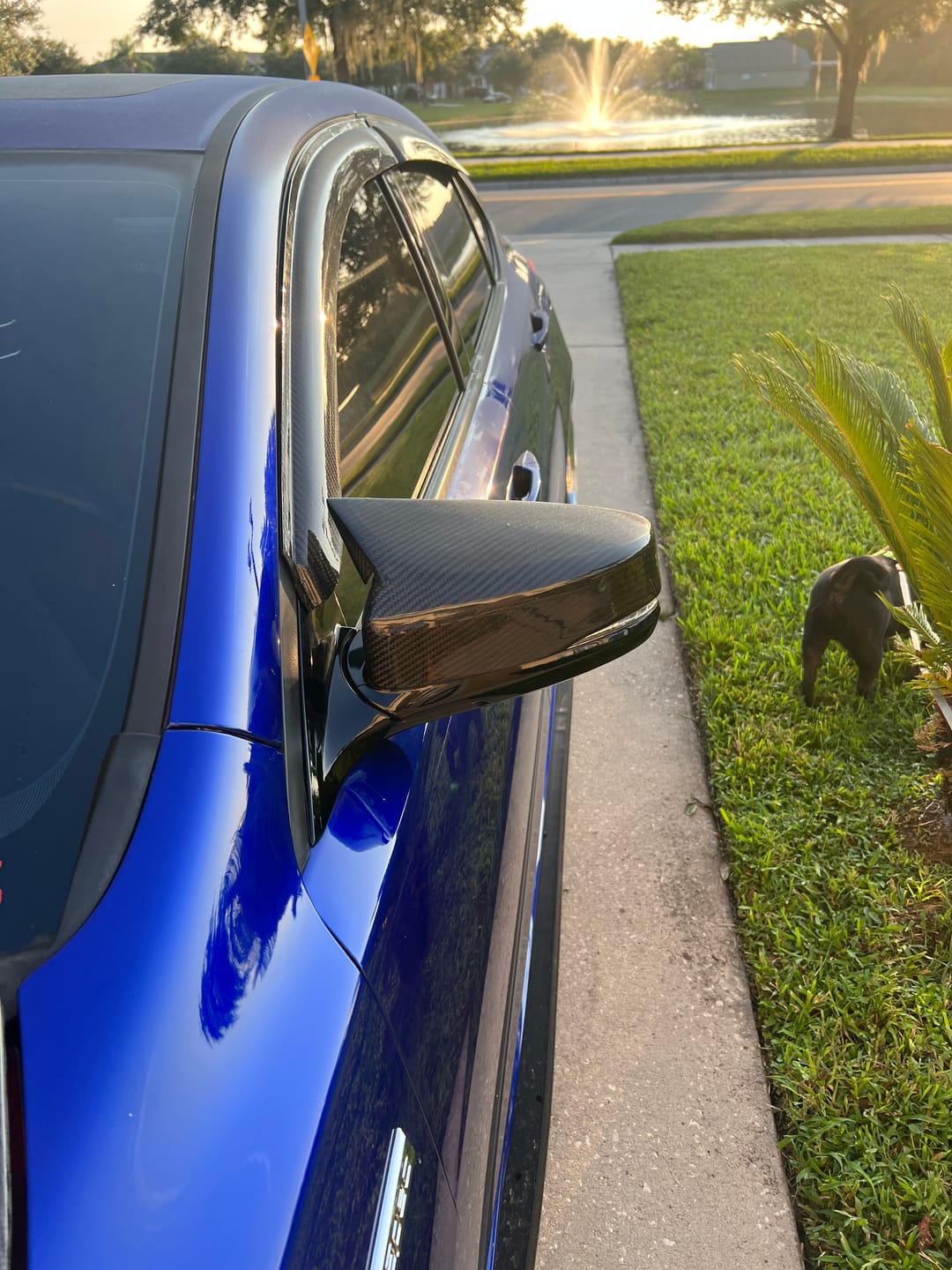 Customer photo review of 2015-2020 TLX Carbon Fiber Window Visors