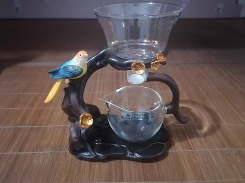 Customer photo review of Parrot | HZTEAPOTS®