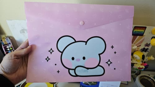 Customer photo review of BT21 Minini PP File Pocket