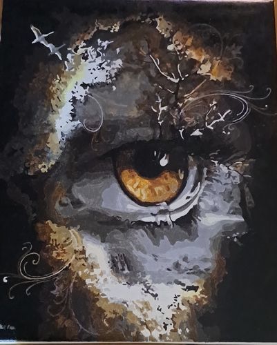 Customer photo review of Paint by Numbers - Brown Eye Abstract