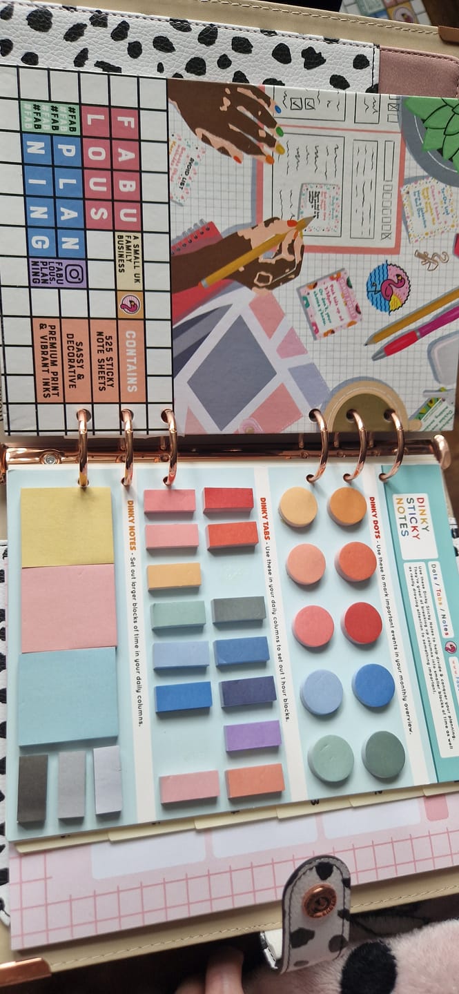 Customer photo review of Dalmatian Organiser Shell