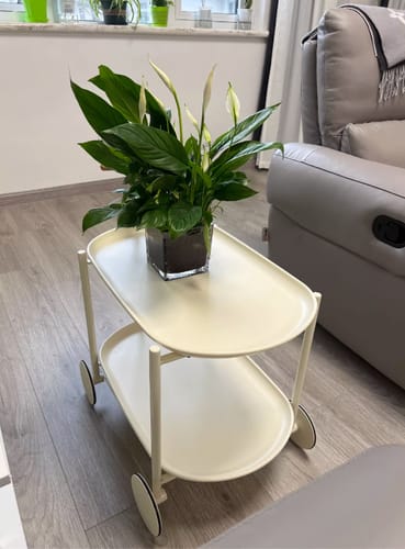 小敏 review of 移動茶几 奶油色系雙層收納多用途小推車 image 1 out of 1