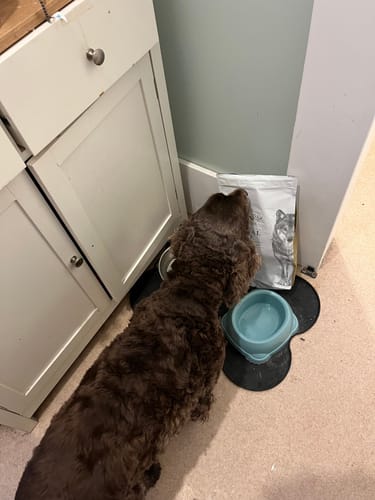 Customer photo review of Eden Original Cuisine