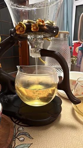 Customer photo review of Parrot | HZTEAPOTS®