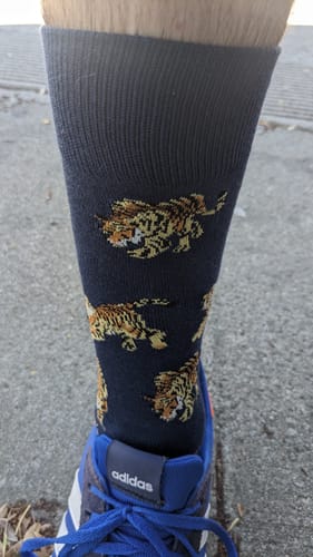 Customer photo review of Tigers on the Prowl Mens Socks - Navy