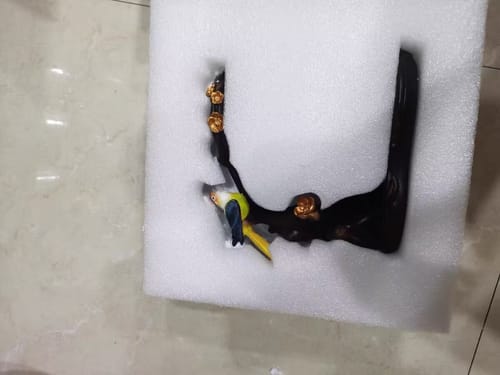 Customer photo review of Parrot | HZTEAPOTS®