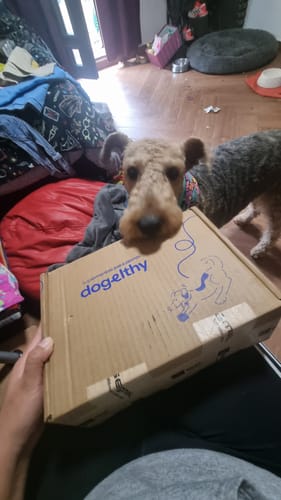 Customer photo review of Mobility