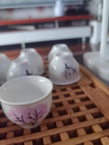 Customer photo review of Color-Changing Sakura | HZTEAPOTS®