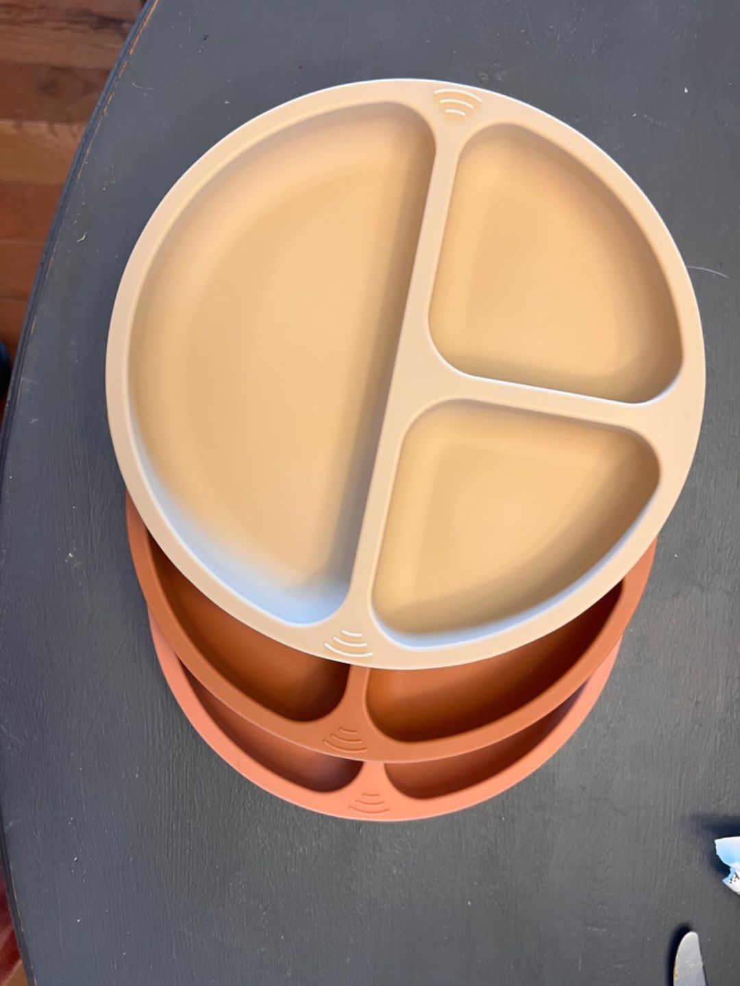 Customer photo review of 3-Pack Prep Silicone Suction Plates