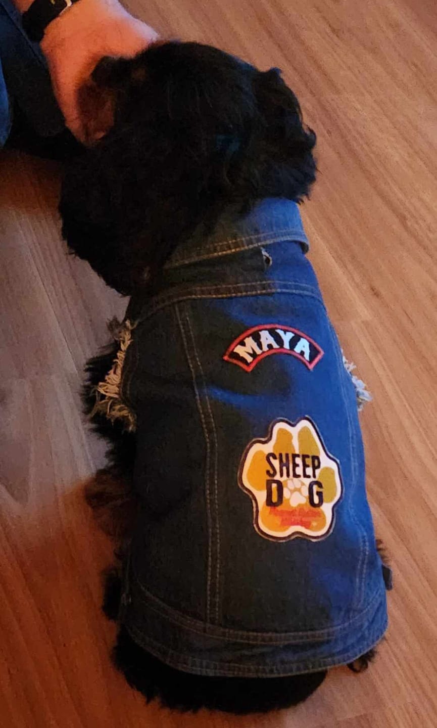 Customer photo review of Denim Dog Vest Raw Blue - Unpatched