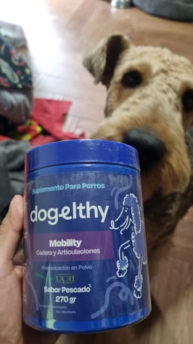 Customer photo review of Mobility