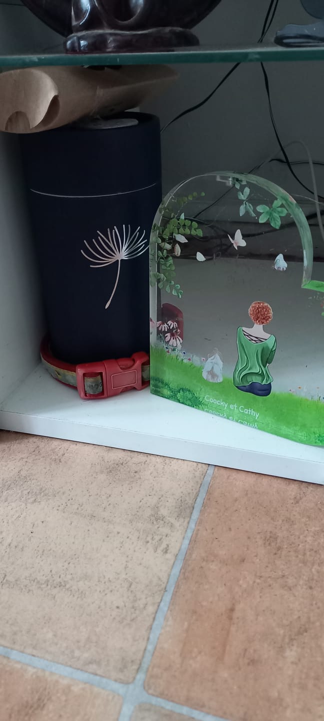 Customer photo review of Toujours à mes côtés - Cœur en verre personnalisé