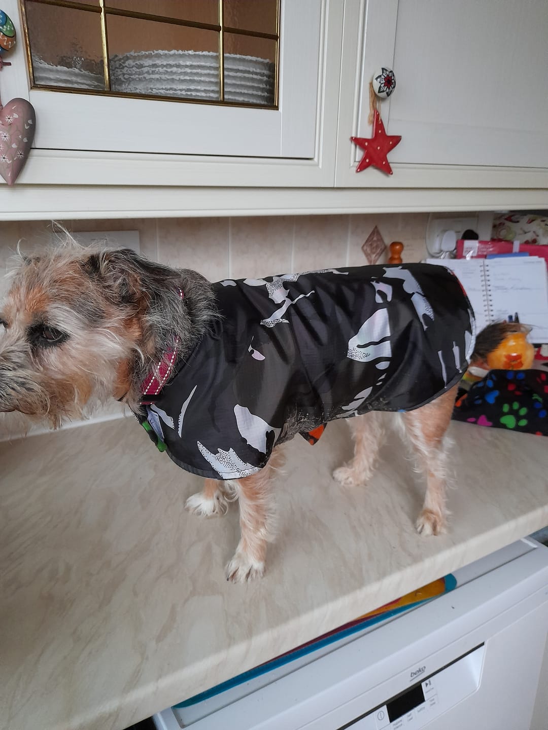 Customer photo review of Water Resistant Camouflage Ripstop Fabric