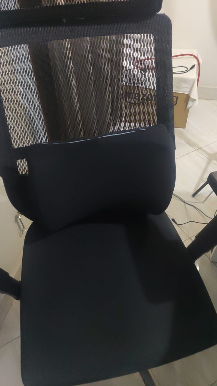 Customer photo review of Lumbar Back Pillow