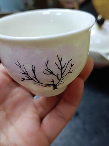 Customer photo review of Color-Changing Sakura | HZTEAPOTS®
