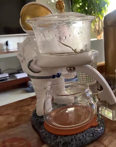 Customer photo review of Astronaut | HZTEAPOTS®