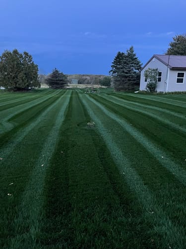 Customer photo review of Cool Season Lawn Care Guide