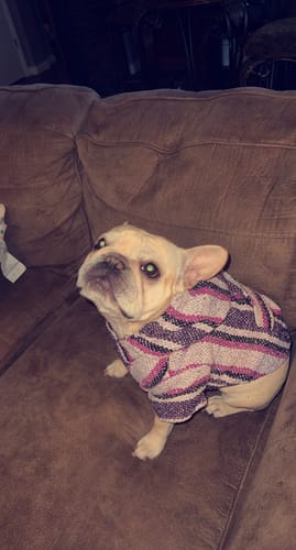 Customer photo review of Playa Poncho - Surprise Color