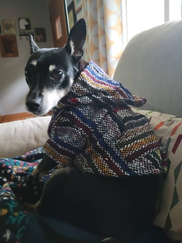 Customer photo review of Playa Poncho - Surprise Color