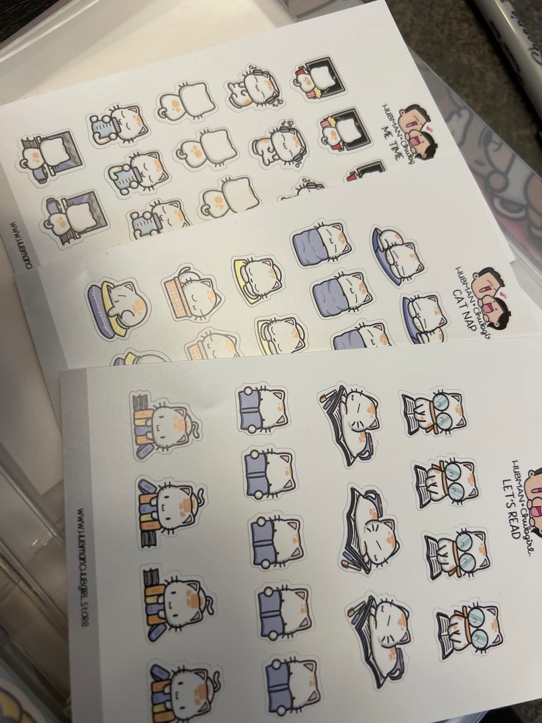 Customer photo review of Let's Read Planner Stickers