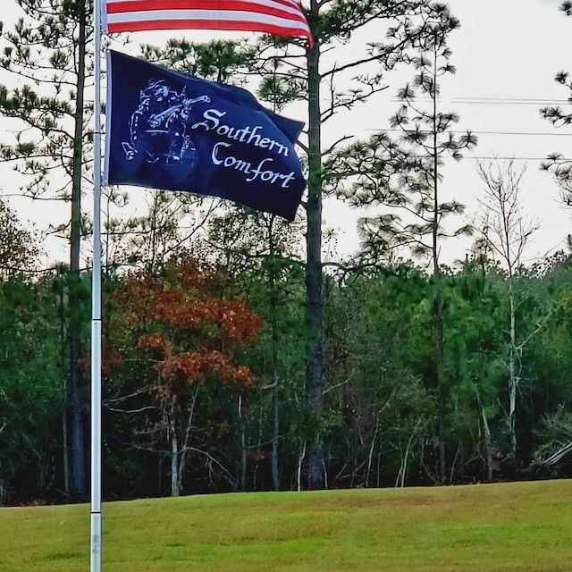 Customer photo review of Custom Standard Flags