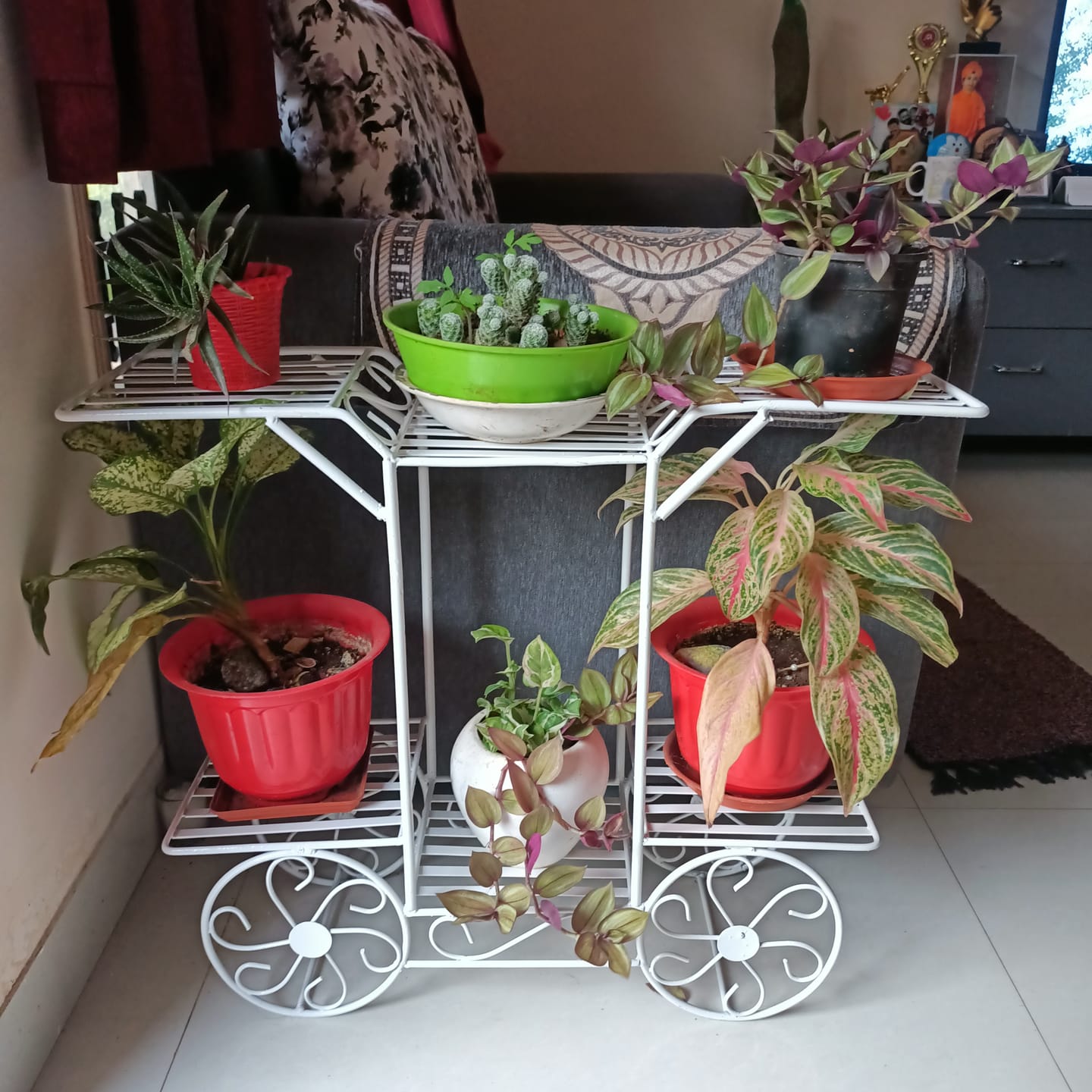 Customer photo review of 6-Tier Cart Planter Stand, Outdoor Flower Rack