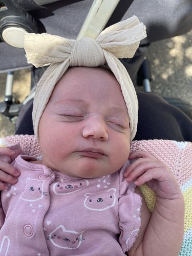Customer photo review of 5 Piece Headband Set