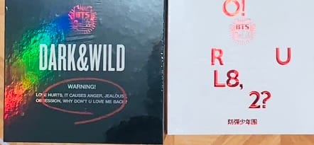 Customer photo review of BTS - 1ST FULL ALBUM DARK & WILD
