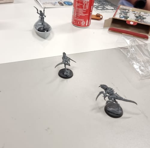 Customer photo review of Tyranids: Hormagaunts