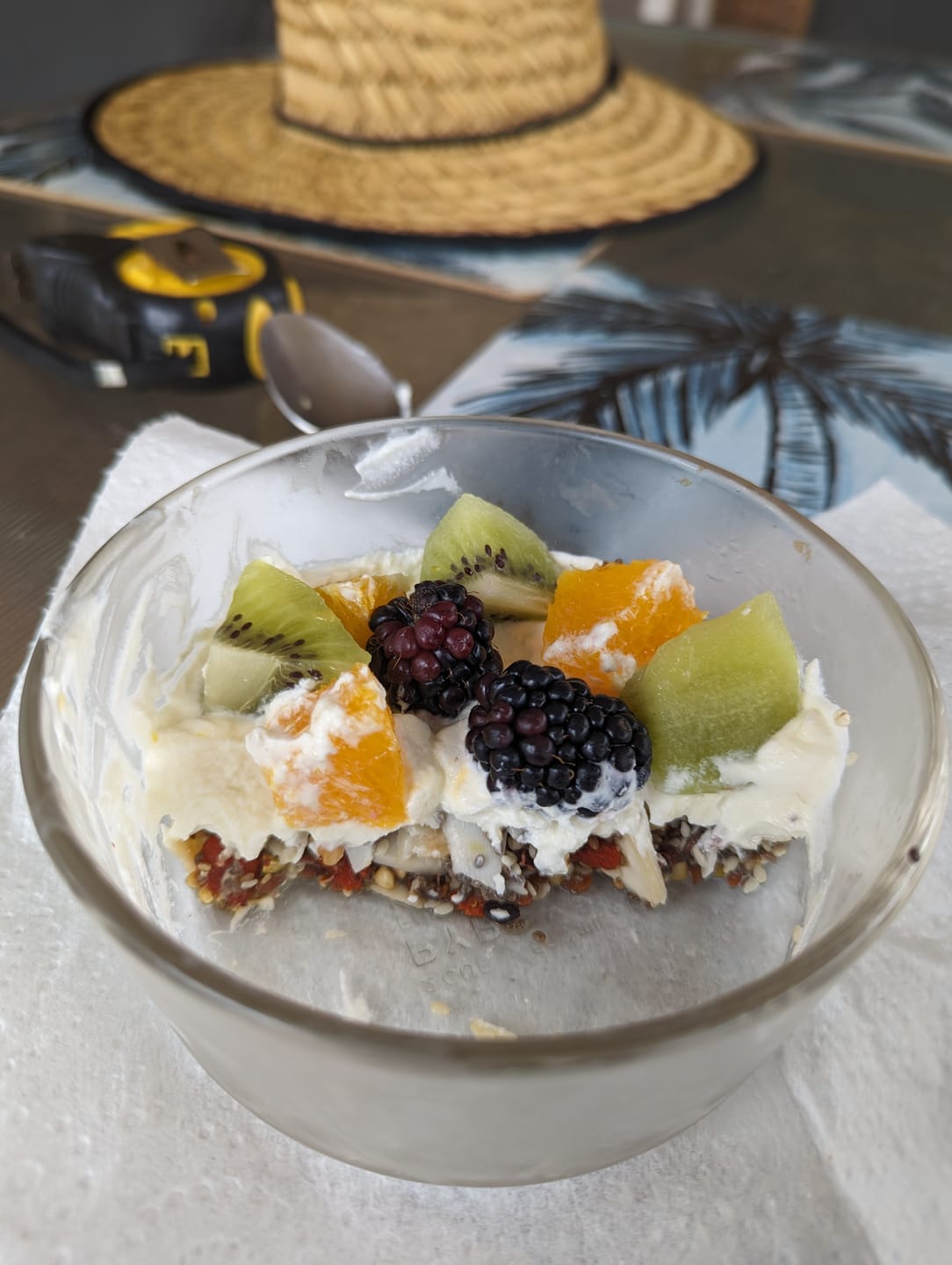 Customer photo review of Blend11: Low FODMAP, low carb, gluten free bircher muesli (Best Poos Ever!)