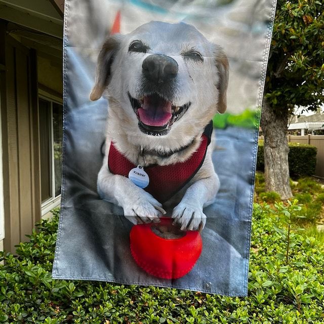 Customer photo review of Custom Standard Flags