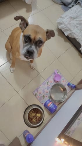 Customer photo review of Skin Kit