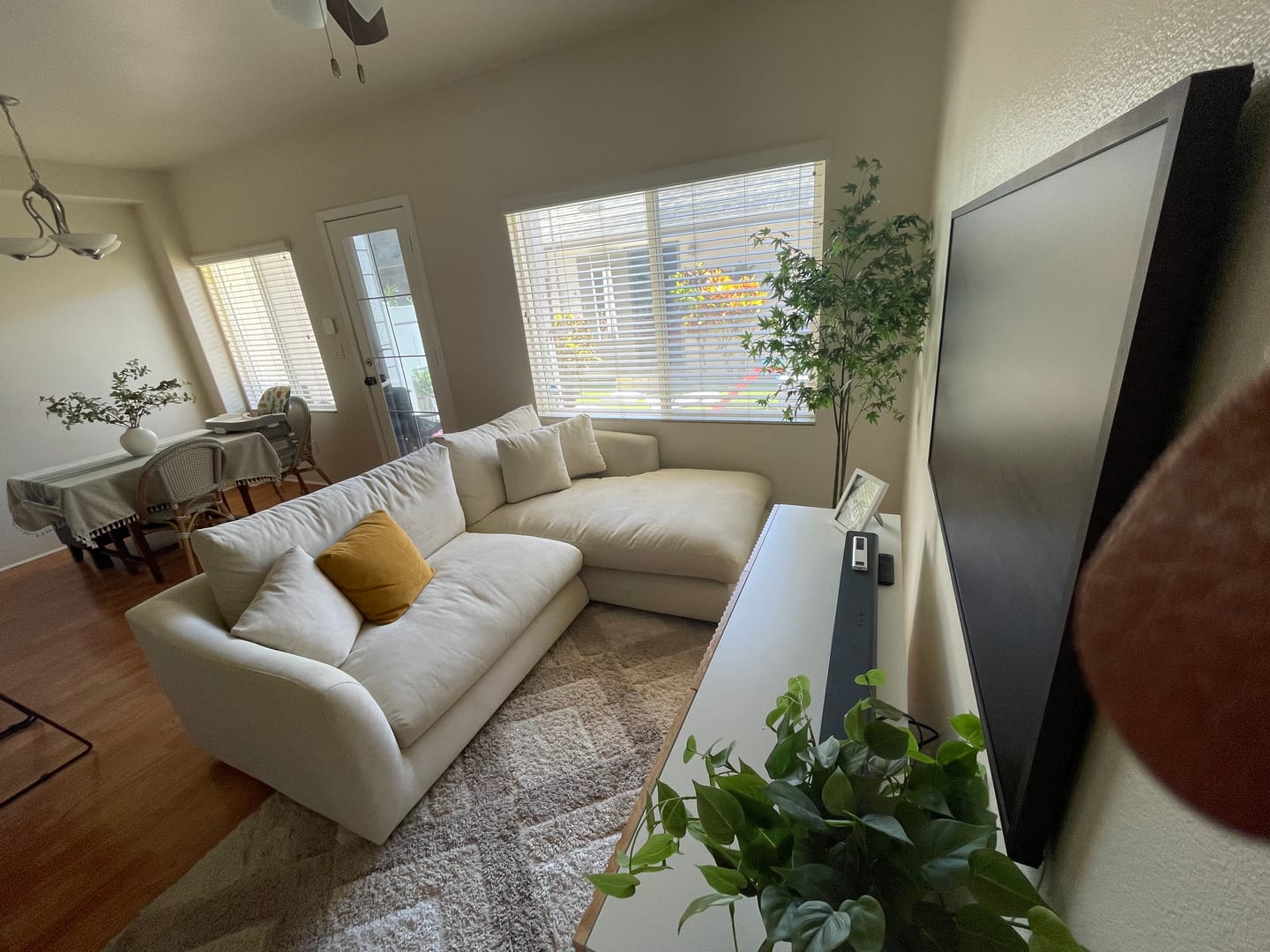 Customer photo review of Feathers Sectional