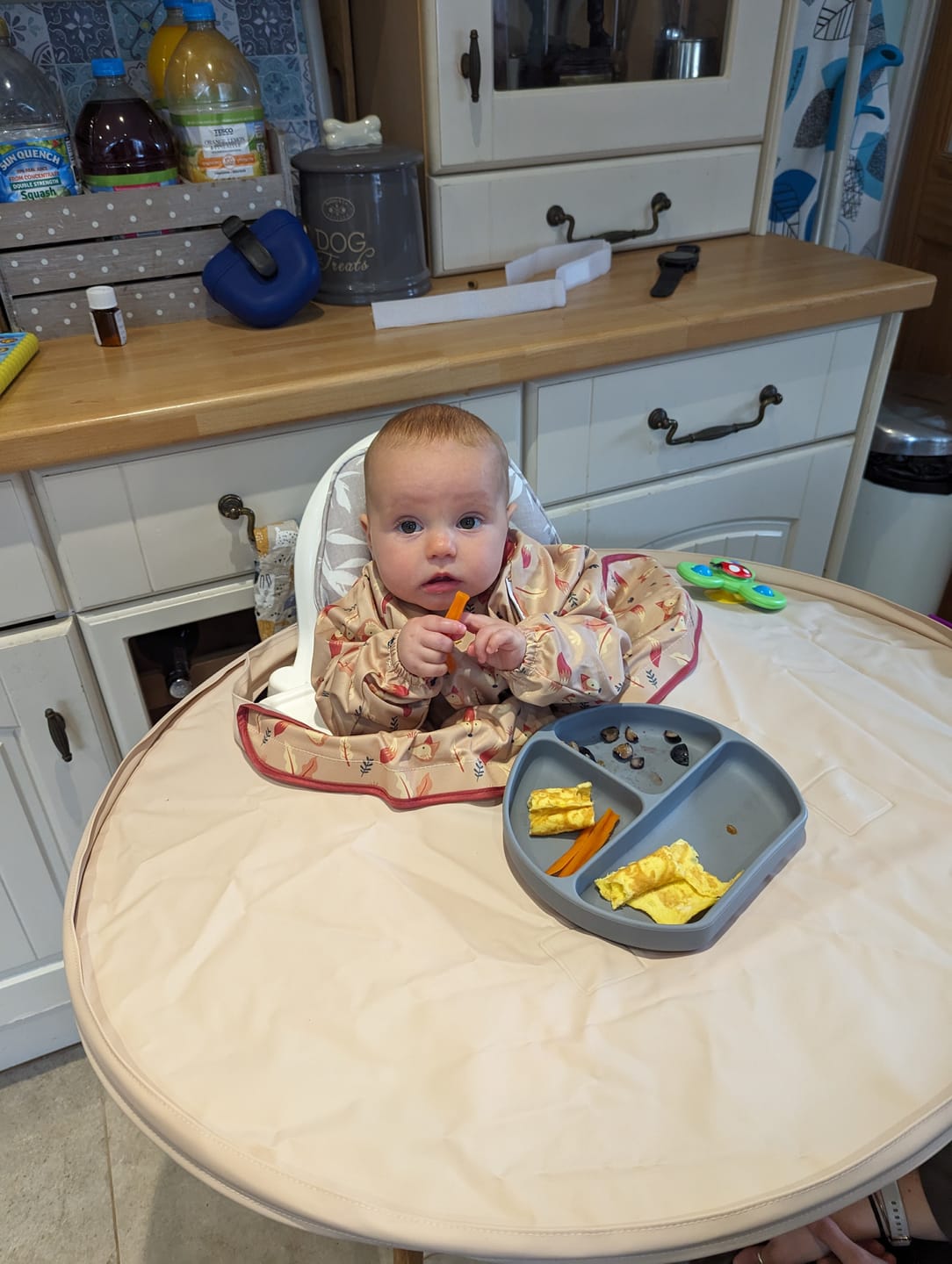 Customer photo review of New Bib & Tray Kit