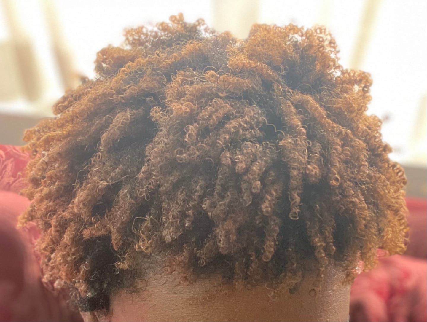Customer photo review of Leave In Conditioner - Pineapple Potion